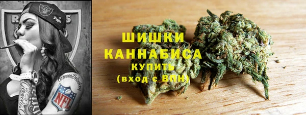 ECSTASY Белокуриха