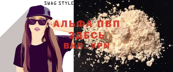 ECSTASY Белокуриха