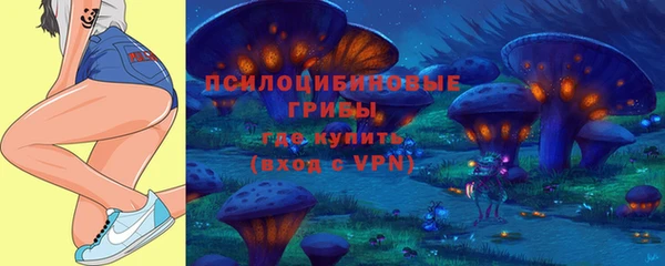 ECSTASY Белокуриха