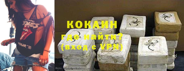 ECSTASY Белокуриха